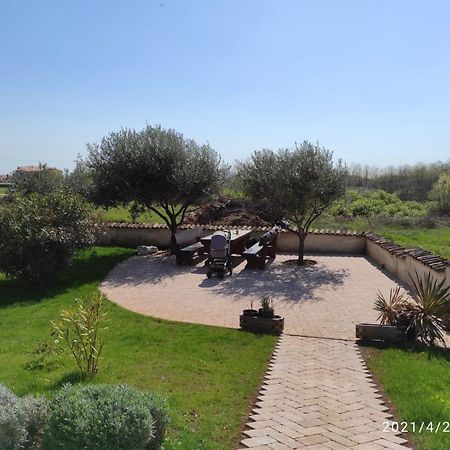 Villa Parenzo بوريتش المظهر الخارجي الصورة