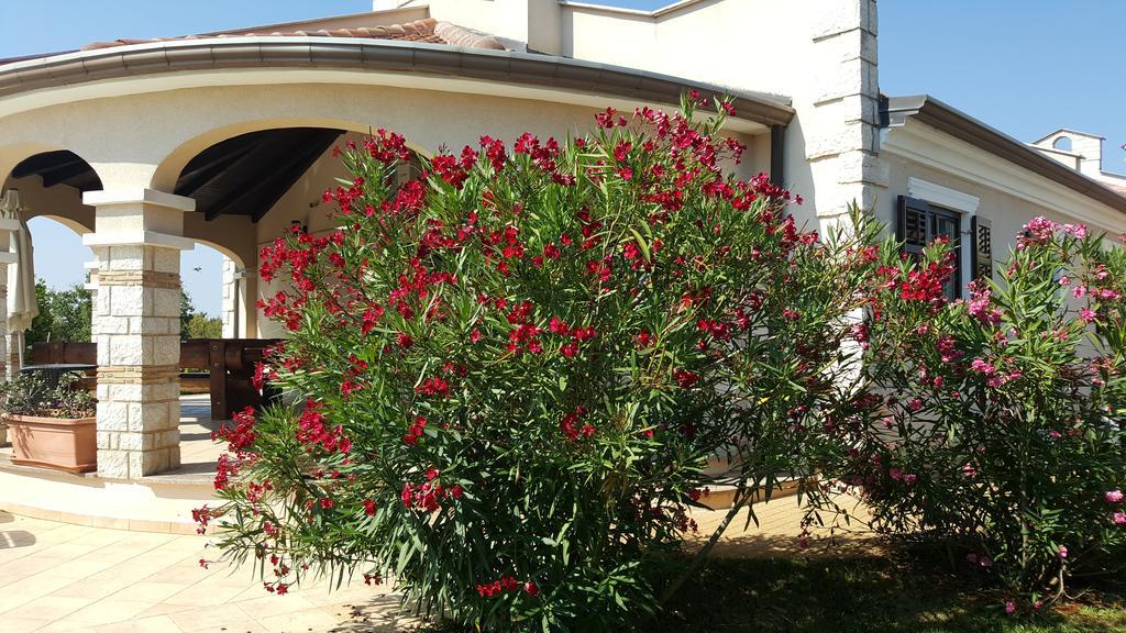Villa Parenzo بوريتش المظهر الخارجي الصورة